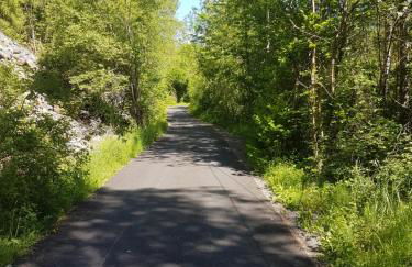 Apartment In Allemont - Foto 6