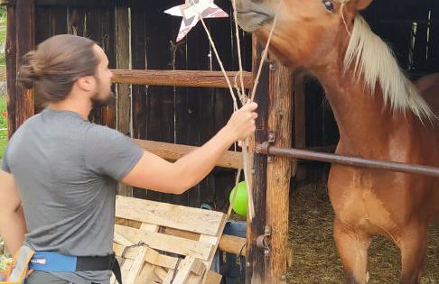 Ferme Can Llull - Foto 19