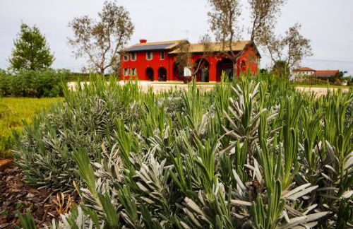 Agriturismo La Rosarnetta - Foto 4