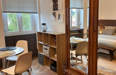 Grande chambre élégante Les Chambres Bannacker 25 m2 Centre à pied - Foto 1