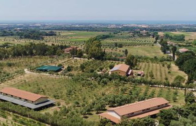 Agriturismo il Nazareno - Photo 24