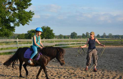 Lipowy Dwór - Foto 12