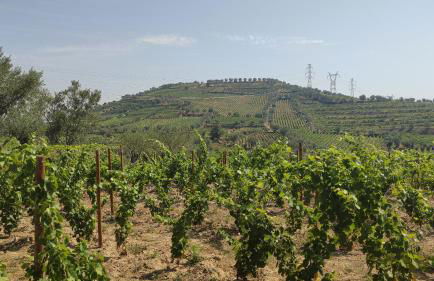 Quinta dos Padrinhos - Suites in the Heart of the Douro - Foto 63