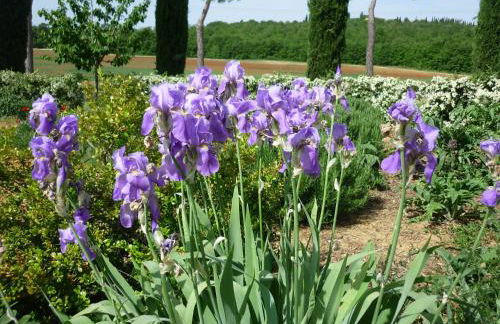 Fattoria Agriturismo Nerbona - Foto 30