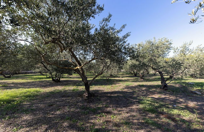 House Natura - Retreat With Tennis Court and Pool - Foto 42