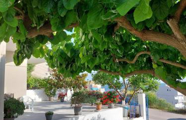 Sunset Apartments - Foto 24