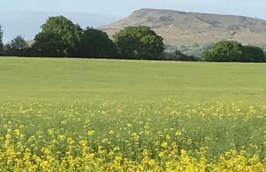 Leverets - Squirrel Lane Lodges Ludlow - Photo 16