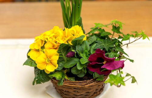 Eistobel und Felderhalde - Foto 11