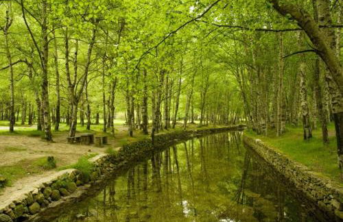 Casa Ferreira - Foto 46