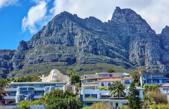 The Blue Emerald - Photo 60