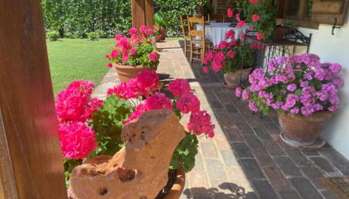 Casa El Olivo - Foto 3