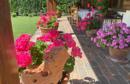 Casa El Olivo - Photo 3