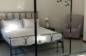 Stella marina - Photo 4