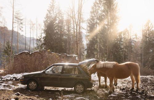 Agriturismo La Daga - Foto 59