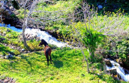 Makronas Apartments - Foto 25