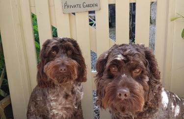 Tudor Cottage - Foto 21