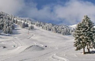 Forest Cosy House - Lagkadia Amazing View - Photo 24