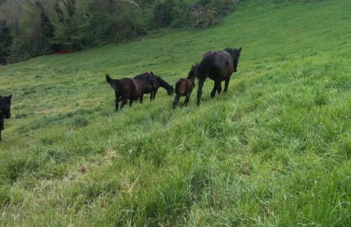 La Cittadella Dei Monti Sibillini - Foto 61