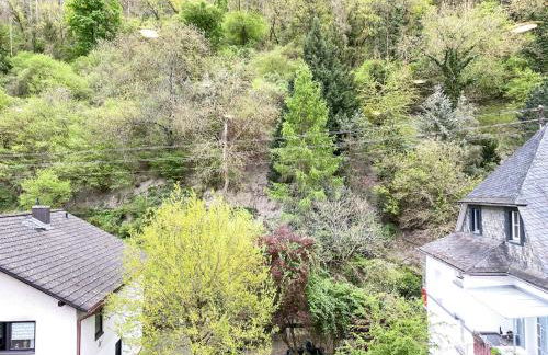 Ferienwohnungen Haus Gisela - Unterkunft Schlossberg - Foto 5