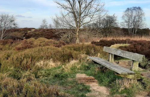 Beautiful countryside cottage, sleeps 6, dogs welcome - Foto 34