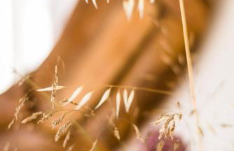 paleo villas - Foto 50