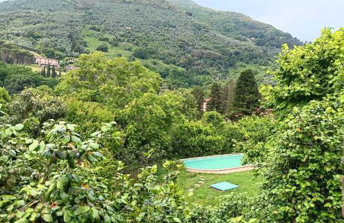 Villa con parco e piscina-Camaiore - Photo 3