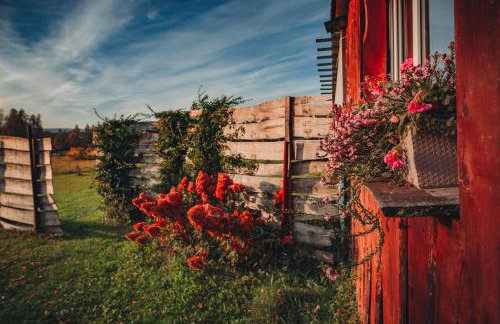 Domki w górach - Foto 19