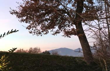 Il Pozzo Country House - Foto 28