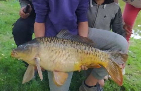 Le Moulin de Gratte Sac - Foto 53