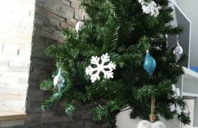 Le petit Kichon - Foto 37