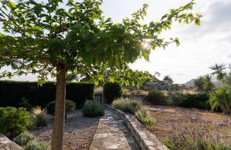 Carob Villa - Photo 56