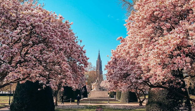 Visita guidata di Strasburgo - Foto 5