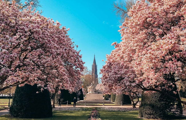 Visita guidata di Strasburgo - Foto 5