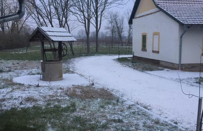 Farm house - Photo 42