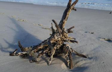 Apartament Blue Hel - Foto 2