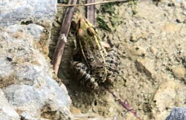 Fishers Of Men Ranch Home - Photo 27