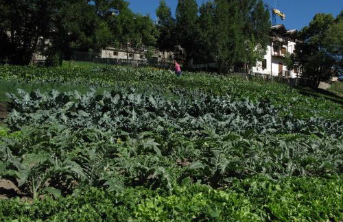 Agriturismo Barba Gust - Foto 47