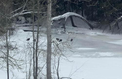 Paddler's Paradise Cabin with Direct Trail Access! - Foto 68