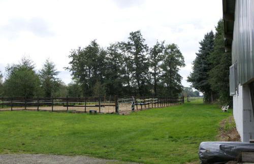 Ferienwohnung Weideglück - Foto 6