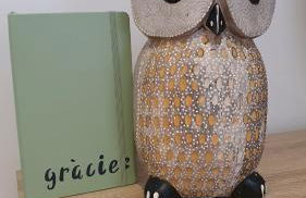 EL MUSSOL DE LA VILA Camprodon, balconets amb vistes a la plaça - Photo 43