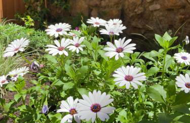 Lily l'Acrobate Aubagne-Cassis-Aix en Provence - Foto 43