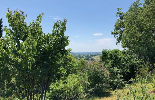 Newly converted barn, magnificent vues, garden and pool - Foto 12