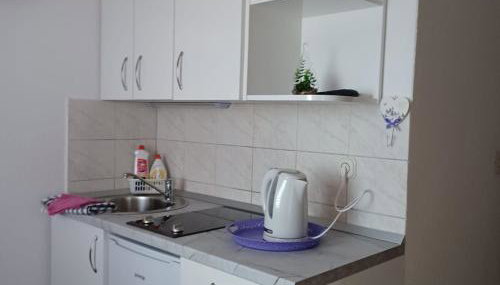 Sobe Stanković - Photo 2