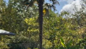 Gîte 6 personnes dans un écrin de verdure avec vue - Foto 3