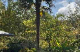 Gîte 8 personnes dans un écrin de verdure avec vue - Foto 19