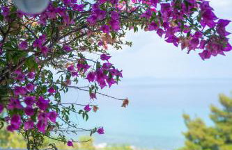 First in the sea with amazing view house - Photo 9