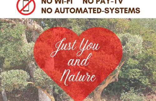 Due Esperienza Panoramica - Photo 12