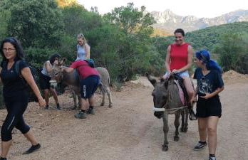 Agriturismo La Casa delle Fate - Photo 8