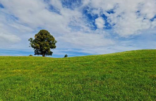 HochgratBlick Modern.Gemütlich.Entspannt - Photo 15
