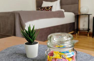 S15 Studio Apartment Zagreb Croatia-free Parking - Foto 11